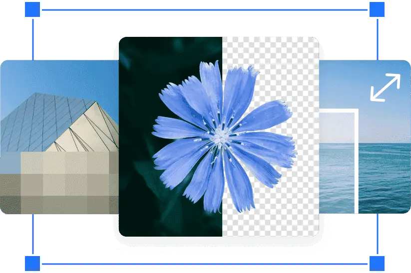 iLovePDF 与 iLoveIMG 官方图片处理生态系统